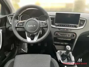 Kia Ceed / cee'd 1.5T-GDI 140 Vision+ Komfort-plus-Paket Bild 5
