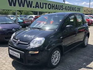 Fiat Panda MY24 1.0 Klima PDC Komfortpaket