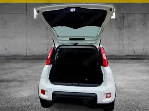 Fiat Panda MY24 1.0 Klima PDC Radio Bild 5