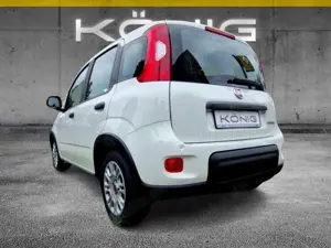 Fiat Panda MY24 1.0 Klima PDC Radio Bild 4