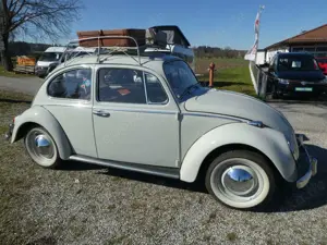 Volkswagen Käfer H-Kennzeichen