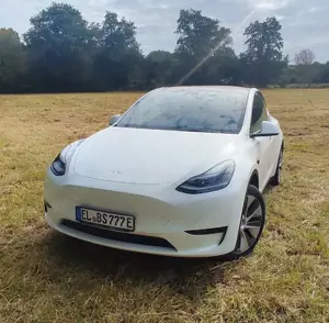 Tesla Model Y RWD