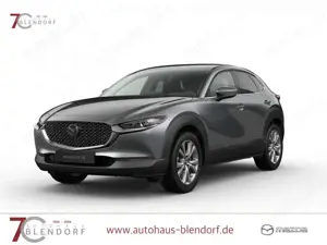 Mazda CX-30 Exclusive 140 360°|Navi|Bose