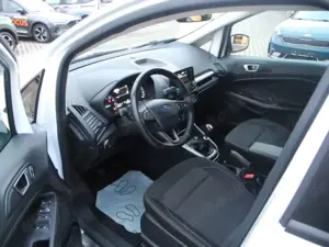 Ford EcoSport 1.0 TREND - WR, Winter-Pak., Reling, PDC v/h, Alu Bild 3