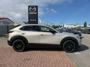 Mazda CX-30 2.5L e-SKYACTIV G 140ps 6MT Homura Bild 2