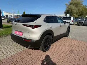 Mazda CX-30 2.5L e-SKYACTIV G 140ps 6MT Homura Bild 3