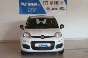 Fiat Panda Pandina Urban 1.0 Hybrid *CityPaket* Bild 4