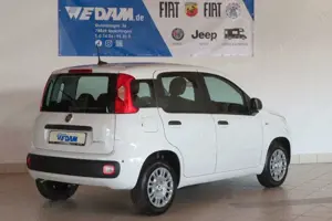 Fiat Panda Pandina Urban 1.0 Hybrid *CityPaket* Bild 2