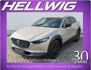 Mazda CX-30 2.5l (140PS) Homura Navi LED Kamera NEU