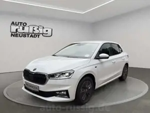 Skoda Fabia Tour 1,0 TSI 70kW 5-Gang,DAB+,SmartLink,