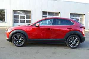 Mazda CX-30 CX-30 SKYACTIV-X 2.0 M-Hybrid Edition 100 *Voll* Bild 5