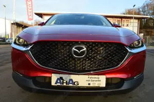 Mazda CX-30 CX-30 SKYACTIV-X 2.0 M-Hybrid Edition 100 *Voll* Bild 3