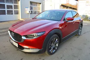 Mazda CX-30 CX-30 SKYACTIV-X 2.0 M-Hybrid Edition 100 *Voll* Bild 2