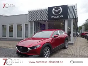 Mazda CX-30 Takumi 140 Automatik Leder|Matrix-LED|Navi