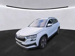 Skoda Karoq Bild 2