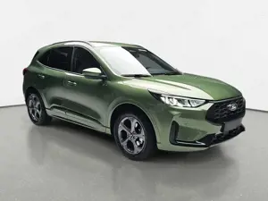 Ford Kuga Bild 3
