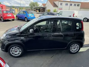 Fiat Panda Bild 5