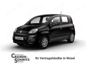 Fiat Panda Pandina Icon