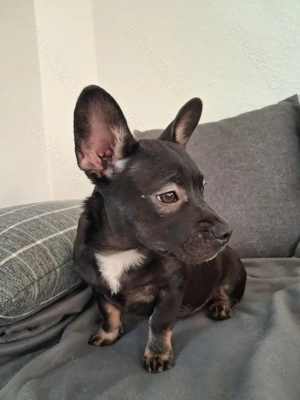 Die kleine "Bibi Blocksberg" bereit für große Abenteuer (um die Augen kommen die tan Abzeichen)!