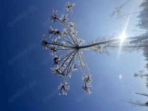 Sport und Liebe zusammen