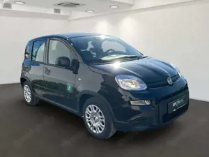 Fiat Panda 1.0 GSE Hybrid Klima DAB Bluetooth Bild 2