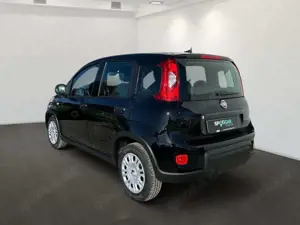 Fiat Panda 1.0 GSE Hybrid Klima DAB Bluetooth Bild 4