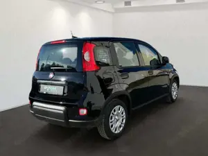 Fiat Panda 1.0 GSE Hybrid Klima DAB Bluetooth Bild 3