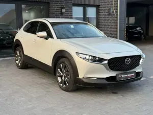 Mazda CX-30 Takumi 2WD*HUD*PDC*LEDER*LED*KAM*1HAND*