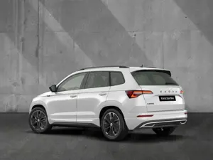 Skoda Karoq Bild 2