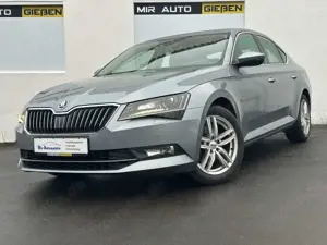 Skoda Superb 2.0 TDI DSG Lim. Style Kamera Totewinkel