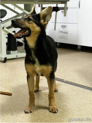 Dora hofft auf ein Happy End  