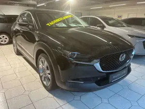 Mazda CX-30 2.5L e-SKYACTIV G 140 AT Exclusive-line Bild 5
