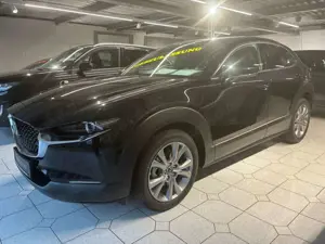 Mazda CX-30 2.5L e-SKYACTIV G 140 AT Exclusive-line Bild 3