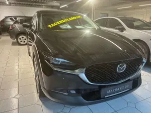 Mazda CX-30 2.5L e-SKYACTIV G 140 AT Exclusive-line Bild 4