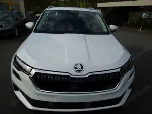 Skoda Karoq 2.0TDI DSG TopSelection/LED/AHK/Navi/Kamera Bild 2