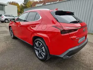 Lexus UX 250h Luxury Line HUD ESD Leder Panodach Navi Soundsyste Bild 3