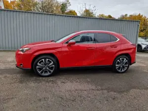 Lexus UX 250h Luxury Line HUD ESD Leder Panodach Navi Soundsyste Bild 2
