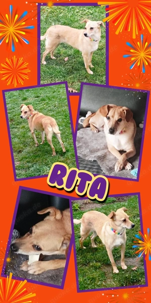 Süße RIta wartet aufs Glück!