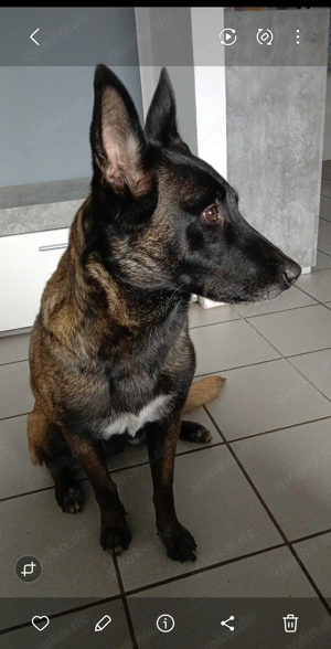 Geboren am 26 .12.25 