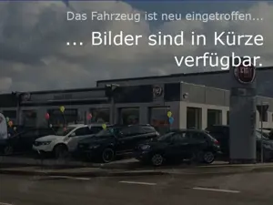 Fiat 500e 500 e Cabrio Icon 42 KW, Winter-, Co-Driver-, Magi