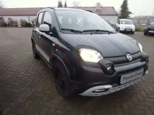 Fiat Panda Sondermodell Garmin City Cross Bild 4