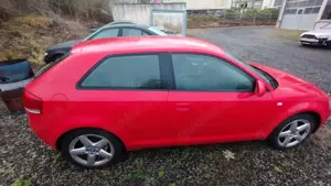 Audi A3 A3 1.6 Attraction Bild 2