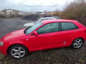 Audi A3 A3 1.6 Attraction Bild 3