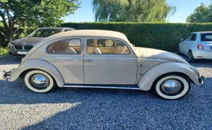 Volkswagen Käfer