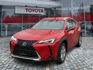 Lexus UX 250h UX 250 h Style Edition wenig KM*Top Kompaktwagen