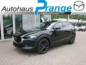 Mazda CX-30 M-Hybrid G-140 AT Homura NAVI ACAA SHZ HUD RFK VOL