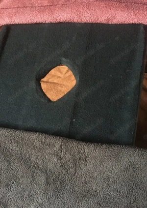 Schwanz melken mit Vakuum Pumpe bzw. Sextoys nach Wunsch 