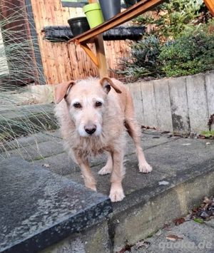 BECKY wartet auf lieben Besuch 