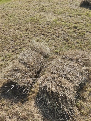 Heu, Heuballen, Niederdruckbunde