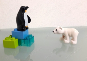 Lego Duplo - 10501 - Polartiere 5 Teile, vollständig Top Zustand 